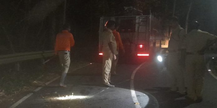 തണ്ണിത്തോട് റോഡിൽ ഓട്ടോറിക്ഷ മറിഞ്ഞ് ഡ്രൈവർക്ക് പരിക്ക് തണ്ണിത്തോട് റോഡിൽ ഓട്ടോറിക്ഷ മറിഞ്ഞ് ഡ്രൈവർക്ക് പരിക്ക്