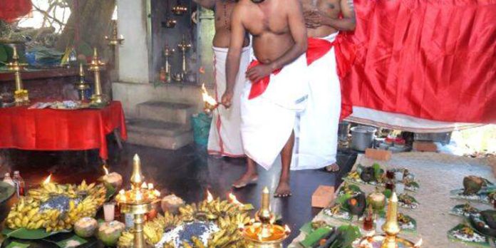 മലയാലപ്പുഴ ശ്രീകണ്ഠേശ്വരി മുഹൂർത്തിക്കാവില് വെളളംകുടിപൂജ നടന്നു മലയാലപ്പുഴ ശ്രീകണ്ഠേശ്വരി മുഹൂർത്തിക്കാവില് വെളളംകുടിപൂജ നടന്നു