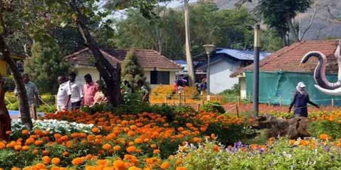 മലമ്പുഴ പുഷ്പമേള 23 മുതൽ, പൂക്കൾ മാത്രമല്ല, പാട്ടുപുരയും ഭക്ഷ്യമേളയും മലമ്പുഴ പുഷ്പമേള 23 മുതൽ, പൂക്കൾ മാത്രമല്ല, പാട്ടുപുരയും ഭക്ഷ്യമേളയും