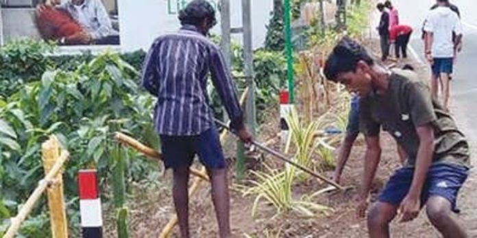 കാടുകയറിക്കിടന്ന പരുത്തിപ്പാലം പ്രദേശം വൃത്തിയാക്കി കീഴ് വായ്പ്പൂര് വൊക്കേഷണൽ ഹയർ സെക്കൻഡറി സ്കൂള് കുട്ടികള് കാടുകയറിക്കിടന്ന പരുത്തിപ്പാലം പ്രദേശം വൃത്തിയാക്കി കീഴ് വായ്പ്പൂര് വൊക്കേഷണൽ ഹയർ സെക്കൻഡറി സ്കൂള് കുട്ടികള്