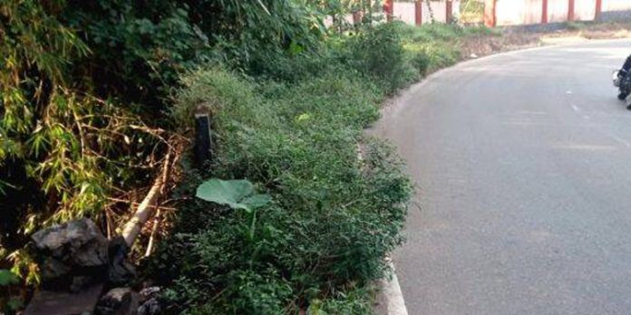 കോട്ടയം - കോഴഞ്ചേരി സംസ്ഥാന പാതയിൽ പരുത്തിപ്പാലം വളവിലെ കലുങ്കിന്റെ സംരക്ഷണഭിത്തി തകര്ന്നു കോട്ടയം - കോഴഞ്ചേരി സംസ്ഥാന പാതയിൽ പരുത്തിപ്പാലം വളവിലെ കലുങ്കിന്റെ സംരക്ഷണഭിത്തി തകര്ന്നു