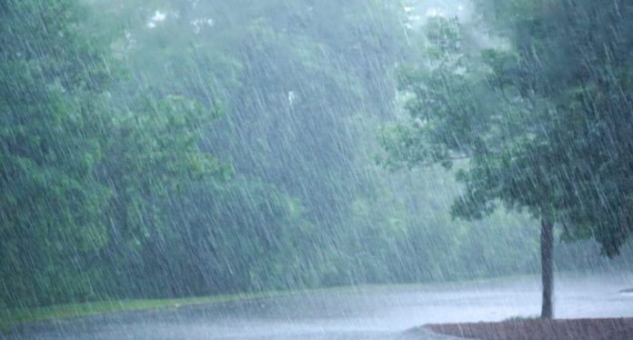 മഴ അറിയിപ്പിൽ മാറ്റം ; വരും മണിക്കൂറിൽ തലസ്ഥാനവും കൊച്ചിയുമടക്കം 6 ജില്ലകളിൽ ഇടിമിന്നൽ മഴ സാധ്യത, ഒപ്പം കാറ്റും മഴ അറിയിപ്പിൽ മാറ്റം ; വരും മണിക്കൂറിൽ തലസ്ഥാനവും കൊച്ചിയുമടക്കം 6 ജില്ലകളിൽ ഇടിമിന്നൽ മഴ സാധ്യത, ഒപ്പം കാറ്റും