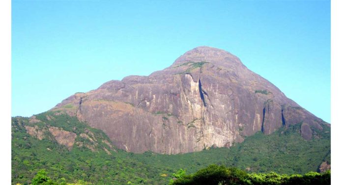 അഗസ്ത്യാർകൂടം ട്രെക്കിംഗ് തീയതികൾ പ്രഖ്യാപിച്ചു ; അറിയേണ്ട കാര്യങ്ങളെല്ലാം അഗസ്ത്യാർകൂടം ട്രെക്കിംഗ് തീയതികൾ പ്രഖ്യാപിച്ചു ; അറിയേണ്ട കാര്യങ്ങളെല്ലാം