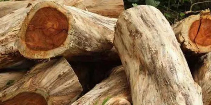 മുട്ടില് മരംമുറിക്കേസിലെ തടികൾ ലേലത്തിന് അനുമതി തേടി വനംവകുപ്പ് മുട്ടില് മരംമുറിക്കേസിലെ തടികൾ ലേലത്തിന് അനുമതി തേടി വനംവകുപ്പ്