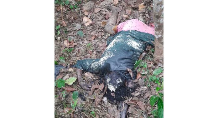 വൃദ്ധയെ റബ്ബർ തോട്ടത്തിൽ മരിച്ച നിലയിൽ കണ്ടെത്തി വൃദ്ധയെ റബ്ബർ തോട്ടത്തിൽ മരിച്ച നിലയിൽ കണ്ടെത്തി