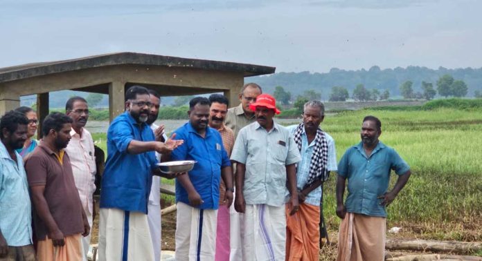 കേരളത്തിന്റെ നെല്ലറകള് മണ്മറയരുത് : ഡെപ്യൂട്ടി സ്പീക്കര് കേരളത്തിന്റെ നെല്ലറകള് മണ്മറയരുത് : ഡെപ്യൂട്ടി സ്പീക്കര്