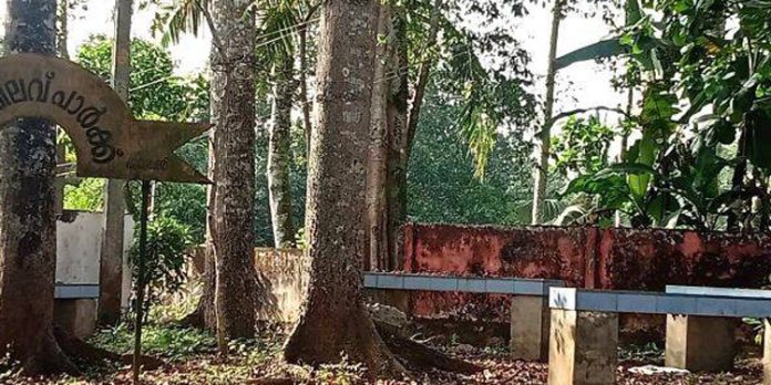 അവഗണനയുടെ പടുകുഴിയില് കല്ലൂപ്പാറ പഞ്ചായത്തിലെ അഞ്ചിലവ് സായാഹ്ന പാര്ക്ക് അവഗണനയുടെ പടുകുഴിയില് കല്ലൂപ്പാറ പഞ്ചായത്തിലെ അഞ്ചിലവ് സായാഹ്ന പാര്ക്ക്