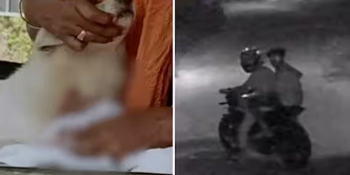കൊല്ലത്ത് പോമറേനിയൻ നായയെ മോഷ്ടിച്ച് ദേഹമാസകലം മുറിവേൽപ്പിച്ച് ഉപേക്ഷിച്ചു കൊല്ലത്ത് പോമറേനിയൻ നായയെ മോഷ്ടിച്ച് ദേഹമാസകലം മുറിവേൽപ്പിച്ച് ഉപേക്ഷിച്ചു