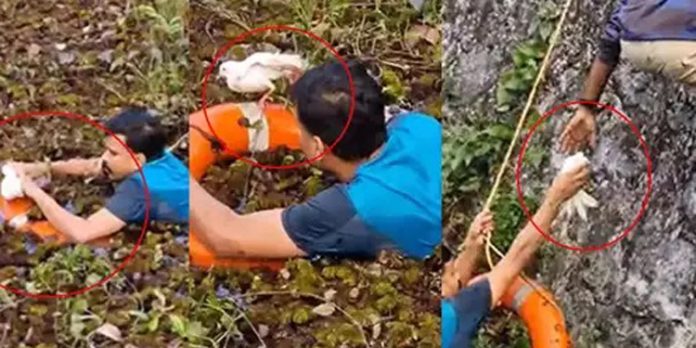 ചിറകിന് പരിക്കേറ്റ് കുടുങ്ങിക്കിടന്ന വളർത്തുപ്രാവിന് രക്ഷകരായത് അടൂർ ഫയർ ഫോഴ്സ് ചിറകിന് പരിക്കേറ്റ് കുടുങ്ങിക്കിടന്ന വളർത്തുപ്രാവിന് രക്ഷകരായത് അടൂർ ഫയർ ഫോഴ്സ്