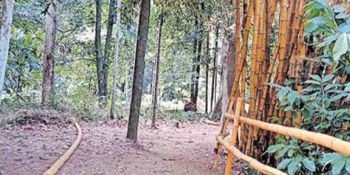 തിരുവാഭരണ ഘോഷയാത്രയെ സ്വീകരിക്കാൻ പരമ്പരാഗത പാതകളിൽ ഒരുക്കം തുടങ്ങി തിരുവാഭരണ ഘോഷയാത്രയെ സ്വീകരിക്കാൻ പരമ്പരാഗത പാതകളിൽ ഒരുക്കം തുടങ്ങി