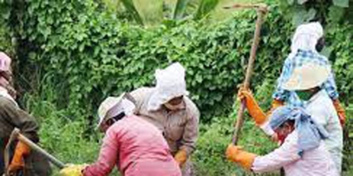 കലഞ്ഞൂർ നെടുമൺകാവിൽ തൊഴിലുറപ്പ് തൊഴിലാളികൾ നിർമ്മിച്ച തടയണകളുടെ ഉദ്ഘാടനം ഇന്ന് കലഞ്ഞൂർ നെടുമൺകാവിൽ തൊഴിലുറപ്പ് തൊഴിലാളികൾ നിർമ്മിച്ച തടയണകളുടെ ഉദ്ഘാടനം ഇന്ന്