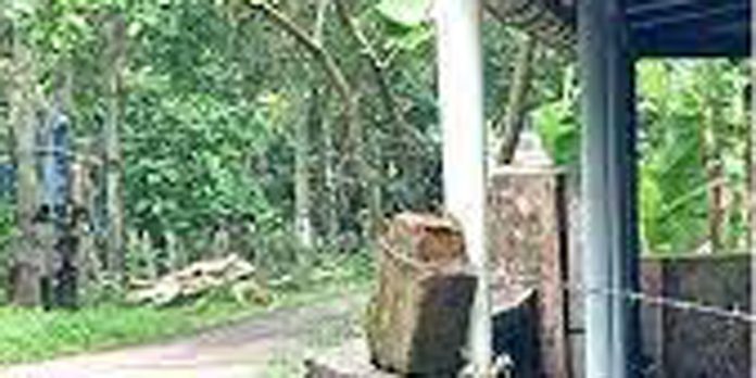 സംരക്ഷണ വേലിയില്ലാത്ത ട്രാന്സ്ഫോര്മര് അപകട ഭീഷണിയാകുന്നു സംരക്ഷണ വേലിയില്ലാത്ത ട്രാന്സ്ഫോര്മര് അപകട ഭീഷണിയാകുന്നു
