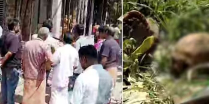 തൃപ്പൂണിത്തുറയിൽ വീട് നിർമ്മാണത്തിനായി മണ്ണ് നീക്കിയപ്പോൾ തലയോട്ടിയും അസ്ഥികൂടവും കണ്ടെത്തി തൃപ്പൂണിത്തുറയിൽ വീട് നിർമ്മാണത്തിനായി മണ്ണ് നീക്കിയപ്പോൾ തലയോട്ടിയും അസ്ഥികൂടവും കണ്ടെത്തി