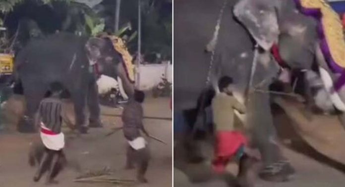 മലപ്പുറത്ത് ചന്ദനക്കുടം നേര്ച്ചക്കിടെ പുള്ളൂട്ട് കണ്ണന് ഇടഞ്ഞു മലപ്പുറത്ത് ചന്ദനക്കുടം നേര്ച്ചക്കിടെ പുള്ളൂട്ട് കണ്ണന് ഇടഞ്ഞു