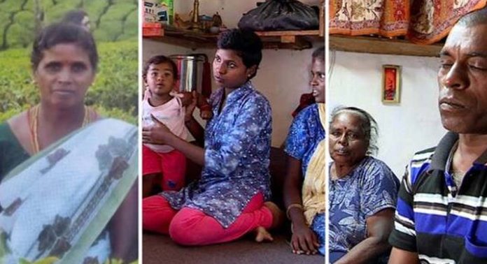 ജീവനെടുത്തത് തോട്ടത്തില് പാഞ്ഞടുത്ത കാട്ടാന ; നഷ്ടപരിഹാരം വെറും 50,000 രൂപ ജീവനെടുത്തത് തോട്ടത്തില് പാഞ്ഞടുത്ത കാട്ടാന ; നഷ്ടപരിഹാരം വെറും 50,000 രൂപ