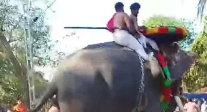 കണയം ശ്രീ കുറുംബക്കാവിൽ എഴുന്നെള്ളിപ്പിനെത്തിയ ആന ഇടഞ്ഞോടി കണയം ശ്രീ കുറുംബക്കാവിൽ എഴുന്നെള്ളിപ്പിനെത്തിയ ആന ഇടഞ്ഞോടി