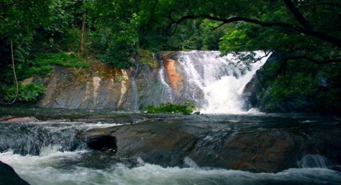 ധോണിയിലേക്ക് ഒരു യാത്ര പോകാം – ഒരുങ്ങിക്കോളൂ… അത്ര മനോഹരമാണിവിടം ധോണിയിലേക്ക് ഒരു യാത്ര പോകാം – ഒരുങ്ങിക്കോളൂ… അത്ര മനോഹരമാണിവിടം
