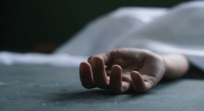 പിക്കപ്പ് വാൻ ഇടിച്ച് അപകടം ; വഴിയാത്രക്കാരന് ദാരുണാന്ത്യം പിക്കപ്പ് വാൻ ഇടിച്ച് അപകടം ; വഴിയാത്രക്കാരന് ദാരുണാന്ത്യം
