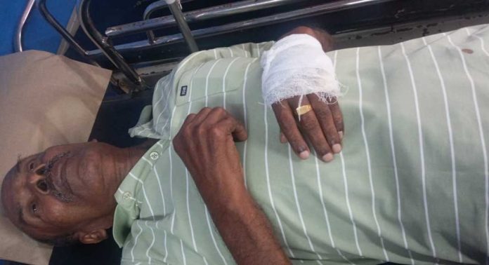 കാട്ടുപന്നി ആക്രമണത്തിൽ വൃദ്ധന് ഗുരുതര പരിക്ക് കാട്ടുപന്നി ആക്രമണത്തിൽ വൃദ്ധന് ഗുരുതര പരിക്ക്