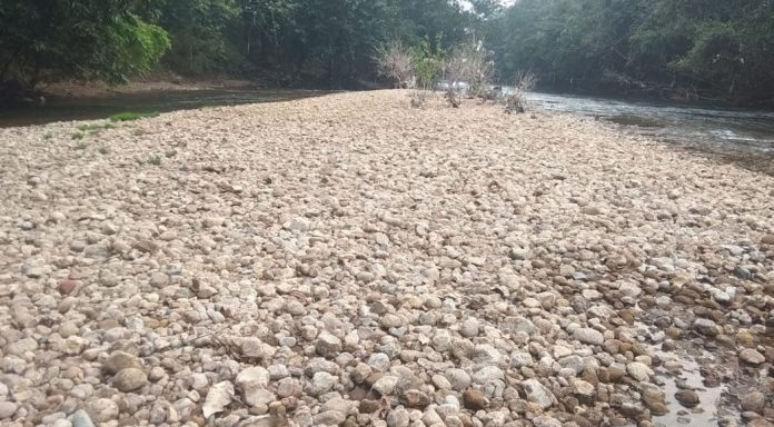 വരണ്ടുണങ്ങി കല്ലാർ ; തണ്ണിത്തോട് മലയോര മേഖലയിൽ ശുദ്ധജല ക്ഷാമം രൂക്ഷമാകുന്നു വരണ്ടുണങ്ങി കല്ലാർ ; തണ്ണിത്തോട് മലയോര മേഖലയിൽ ശുദ്ധജല ക്ഷാമം രൂക്ഷമാകുന്നു