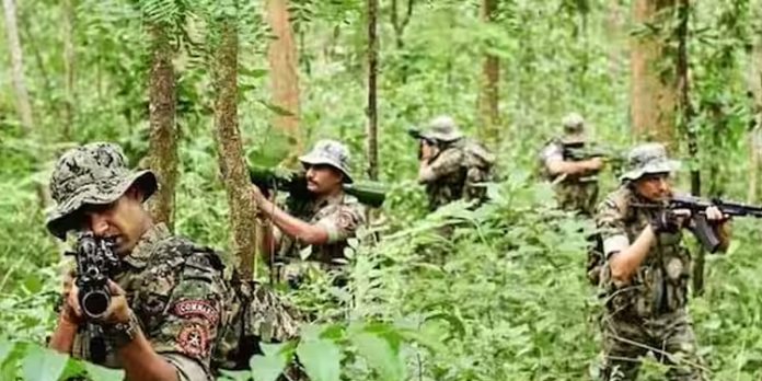 സിആർപിഎഫ് വേണ്ടെന്ന് വനപാലക സംഘടന സിആർപിഎഫ് വേണ്ടെന്ന് വനപാലക സംഘടന
