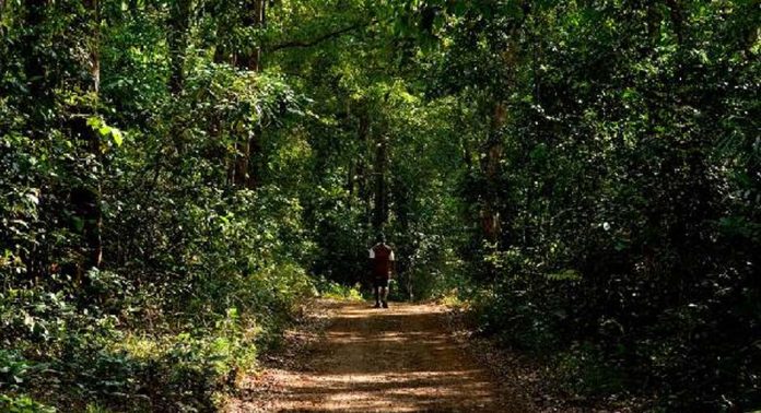 വന്യജീവി ആക്രമണം കൂടി ; താമസം മാറി നാട്ടുകാര് വന്യജീവി ആക്രമണം കൂടി ; താമസം മാറി നാട്ടുകാര്