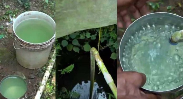 കിണറുകളിലെ വെള്ളത്തിന് പച്ചനിറവും ദുർഗന്ധവും ; പരിശോധന ആരംഭിച്ചു കിണറുകളിലെ വെള്ളത്തിന് പച്ചനിറവും ദുർഗന്ധവും ; പരിശോധന ആരംഭിച്ചു