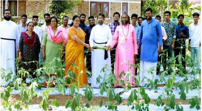 തിരുവല്ലയിൽ പച്ചക്കറി കൃഷിയുടെ വിളവെടുപ്പ് ഉദ്ഘാടനം നടത്തി തിരുവല്ലയിൽ പച്ചക്കറി കൃഷിയുടെ വിളവെടുപ്പ് ഉദ്ഘാടനം നടത്തി
