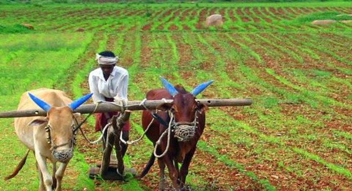 കർഷകരെ കൈവിടുന്നു ; ബജറ്റിൽ കാർഷികമേഖലയ്ക്കായി നീക്കിവെച്ചത് ഏറ്റവും കുറഞ്ഞ തുകയെന്ന് റിപ്പോർട്ടുകൾ കർഷകരെ കൈവിടുന്നു ; ബജറ്റിൽ കാർഷികമേഖലയ്ക്കായി നീക്കിവെച്ചത് ഏറ്റവും കുറഞ്ഞ തുകയെന്ന് റിപ്പോർട്ടുകൾ