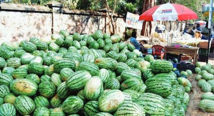 പൊള്ളുന്ന വെയിലിൽ കുറച്ച് കരുതലാകാം… ; തണ്ണിമത്തനിൽ ഉപയോഗിക്കുന്നത് ആ രാസവസ്തു, മുന്നറിയിപ്പുമായി ആരോഗ്യവിദഗ്ധര് പൊള്ളുന്ന വെയിലിൽ കുറച്ച് കരുതലാകാം… ; തണ്ണിമത്തനിൽ ഉപയോഗിക്കുന്നത് ആ രാസവസ്തു, മുന്നറിയിപ്പുമായി ആരോഗ്യവിദഗ്ധര്