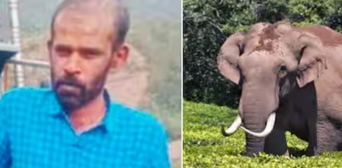 കാട്ടാന ആക്രമണത്തില് കൊല്ലപ്പെട്ട ഓട്ടോ ഡ്രൈവര് മണി എന്ന സുരേഷ് കുമാറിന്റെ പോസ്റ്റുമോര്ട്ടം ഇന്ന് നടക്കും കാട്ടാന ആക്രമണത്തില് കൊല്ലപ്പെട്ട ഓട്ടോ ഡ്രൈവര് മണി എന്ന സുരേഷ് കുമാറിന്റെ പോസ്റ്റുമോര്ട്ടം ഇന്ന് നടക്കും