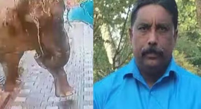 വയനാട്ടിൽ കർഷകന്റെ ജീവനെടുത്ത കാട്ടാനയെ പിടികൂടാനുള്ള ദൗത്യം ഇന്ന് വീണ്ടും ആരംഭിക്കും വയനാട്ടിൽ കർഷകന്റെ ജീവനെടുത്ത കാട്ടാനയെ പിടികൂടാനുള്ള ദൗത്യം ഇന്ന് വീണ്ടും ആരംഭിക്കും