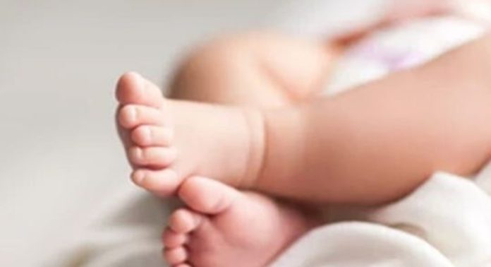 അമിത രക്തസ്രാവം മൂലം യുവതിയും കുഞ്ഞും മരിച്ച സംഭവം ; ഭർത്താവ് ആധുനിക ചികിത്സ നിഷേധിച്ചെന്ന് പോലീസ് അമിത രക്തസ്രാവം മൂലം യുവതിയും കുഞ്ഞും മരിച്ച സംഭവം ; ഭർത്താവ് ആധുനിക ചികിത്സ നിഷേധിച്ചെന്ന് പോലീസ്