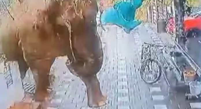 കാട്ടാന ആക്രമണം ; മാനന്തവാടിയിൽ വിവിധയിടങ്ങളില് നിരോധനാജ്ഞ കാട്ടാന ആക്രമണം ; മാനന്തവാടിയിൽ വിവിധയിടങ്ങളില് നിരോധനാജ്ഞ