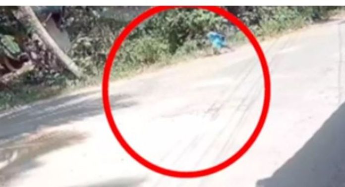 ഡേ കെയറിൽ നിന്ന് രണ്ടു വയസുകാരൻ ഒറ്റക്ക് നടന്ന് വീട്ടിലെത്തി ; അമ്പരപ്പ് മാറാതെ വീട്ടുകാർ, വീഡിയോ വൈറൽ ഡേ കെയറിൽ നിന്ന് രണ്ടു വയസുകാരൻ ഒറ്റക്ക് നടന്ന് വീട്ടിലെത്തി ; അമ്പരപ്പ് മാറാതെ വീട്ടുകാർ, വീഡിയോ വൈറൽ