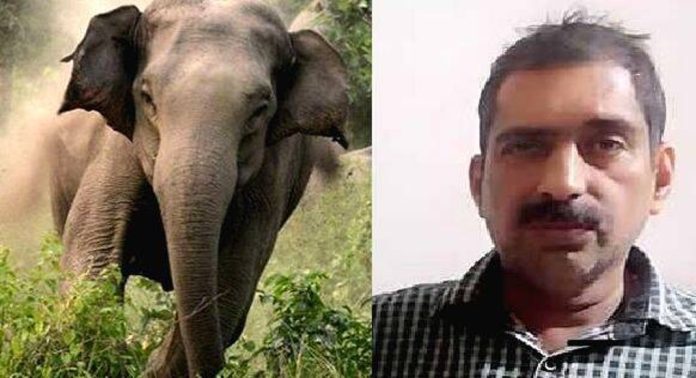പോളിന്റെ മരണം ; ചികിത്സ കിട്ടിയില്ലെന്ന പരാതിയിൽ മനുഷ്യാവകാശ കമ്മീഷൻ കേസെടുത്തു പോളിന്റെ മരണം ; ചികിത്സ കിട്ടിയില്ലെന്ന പരാതിയിൽ മനുഷ്യാവകാശ കമ്മീഷൻ കേസെടുത്തു