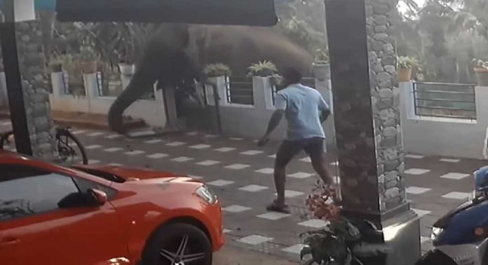 മാനന്തവാടിയിലെ ആനയെ ഇന്ന് മയക്കുവെടി വെക്കില്ല ; സഞ്ചാരം നിരീക്ഷിച്ച് വനംവകുപ്പ് മാനന്തവാടിയിലെ ആനയെ ഇന്ന് മയക്കുവെടി വെക്കില്ല ; സഞ്ചാരം നിരീക്ഷിച്ച് വനംവകുപ്പ്