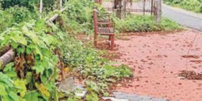 കവിയൂരിലെ പോളച്ചിറ വഴിയോര വിശ്രമകേന്ദ്രം കാട് പിടിച്ച് നശിക്കുന്നു കവിയൂരിലെ പോളച്ചിറ വഴിയോര വിശ്രമകേന്ദ്രം കാട് പിടിച്ച് നശിക്കുന്നു