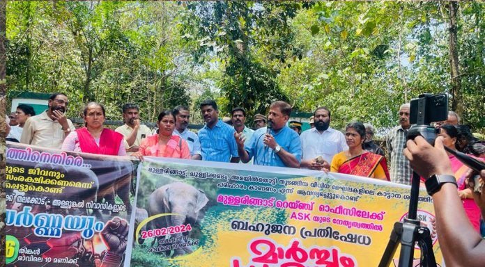 വന്യ മൃഗശല്യം ; മുളളരിങ്ങാട് റെയിഞ്ചോഫീസ് ഉപരോധവും ധർണ്ണയും നടത്തി വന്യ മൃഗശല്യം ; മുളളരിങ്ങാട് റെയിഞ്ചോഫീസ് ഉപരോധവും ധർണ്ണയും നടത്തി