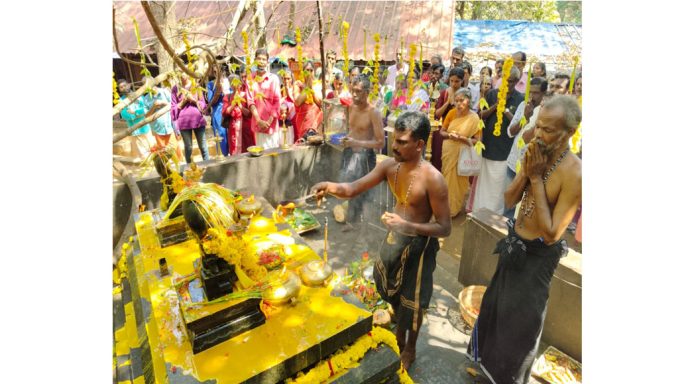 കല്ലേലി കാവിൽ ആയില്യം പൂജ സമര്പ്പിച്ചു കല്ലേലി കാവിൽ ആയില്യം പൂജ സമര്പ്പിച്ചു