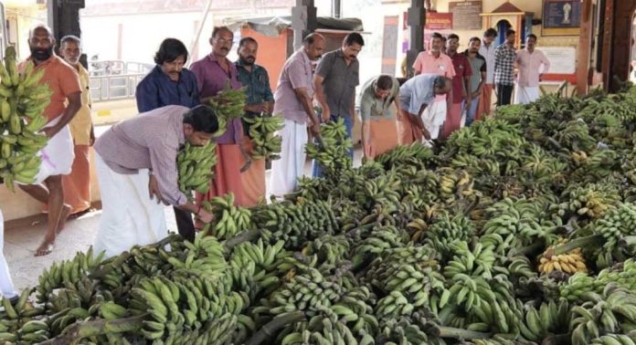 ശ്രീവല്ലഭ സ്വാമിയുടെ പന്തീരായിരം വഴിപാടിനായി പടറ്റിക്കുലകള് തുകലശ്ശേരി മഹാദേവക്ഷേത്രത്തില് എത്തിച്ചു ശ്രീവല്ലഭ സ്വാമിയുടെ പന്തീരായിരം വഴിപാടിനായി പടറ്റിക്കുലകള് തുകലശ്ശേരി മഹാദേവക്ഷേത്രത്തില് എത്തിച്ചു