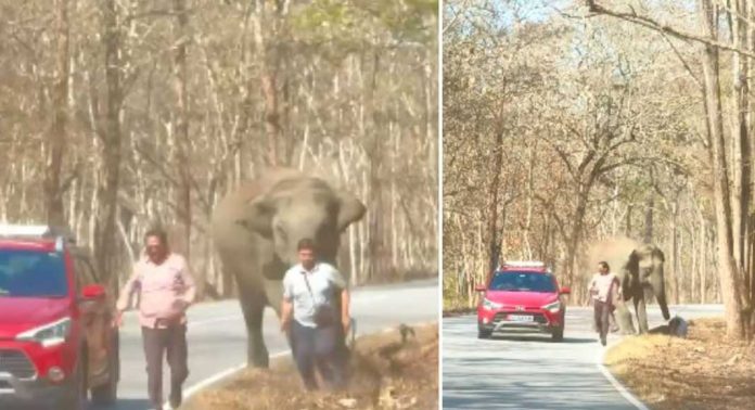 യാത്രക്കാര്ക്ക് നേരെ പാഞ്ഞടുത്ത് കാട്ടാന ; രക്ഷപ്പെട്ടത് തലനാരിഴയ്ക്ക് യാത്രക്കാര്ക്ക് നേരെ പാഞ്ഞടുത്ത് കാട്ടാന ; രക്ഷപ്പെട്ടത് തലനാരിഴയ്ക്ക്