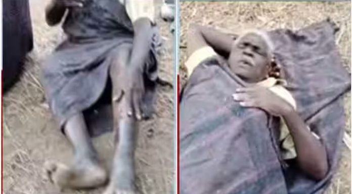 വനംവകുപ്പ് ഉദ്യോഗസ്ഥർ സംഘം ചേർന്ന് മർദ്ദിച്ചു ; മലക്കപ്പാറയിൽ മൂപ്പന് മർദ്ദനം എന്ന് പരാതി വനംവകുപ്പ് ഉദ്യോഗസ്ഥർ സംഘം ചേർന്ന് മർദ്ദിച്ചു ; മലക്കപ്പാറയിൽ മൂപ്പന് മർദ്ദനം എന്ന് പരാതി