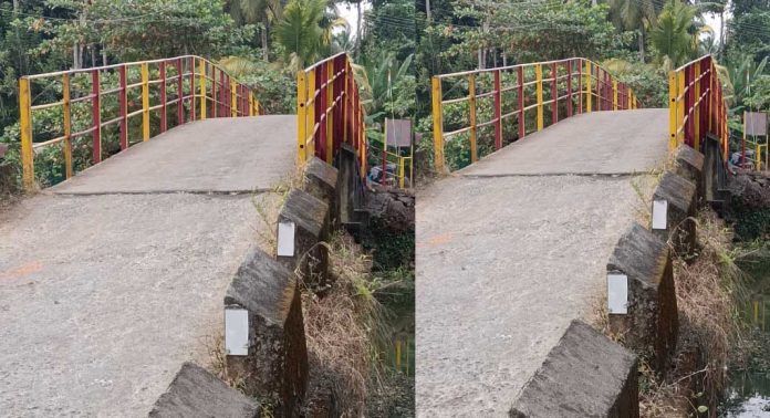 തോട്ടടിയിൽ പുതിയ പാലം ; 4 കോടി രൂപ ബജറ്റിൽ വകയിരുത്തി തോട്ടടിയിൽ പുതിയ പാലം ; 4 കോടി രൂപ ബജറ്റിൽ വകയിരുത്തി
