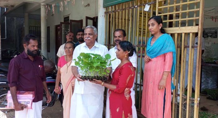 വെച്ചൂച്ചിറ ഗ്രാമപഞ്ചായത്തില് പച്ചക്കറി തൈകള് വിതരണം ചെയ്തു വെച്ചൂച്ചിറ ഗ്രാമപഞ്ചായത്തില് പച്ചക്കറി തൈകള് വിതരണം ചെയ്തു