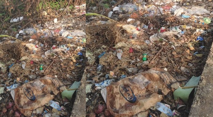 കോന്നി ടൗണിൽ മാലിന്യം കെട്ടിക്കിടന്ന് ദുർഗന്ധം വമിക്കുന്നു കോന്നി ടൗണിൽ മാലിന്യം കെട്ടിക്കിടന്ന് ദുർഗന്ധം വമിക്കുന്നു