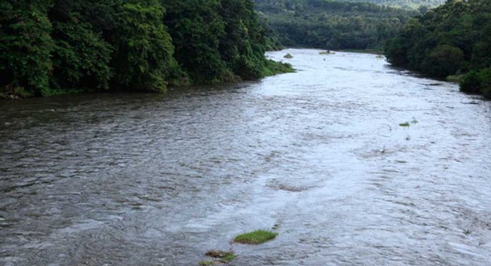 ജല മലിനീകരണം : പമ്പാ നദി തീരങ്ങളില് വ്യാപക പരിശോധന – ജലാശയങ്ങൾ മലിനപ്പെടുത്തിയതിന് 1,05,000 രൂപ പിഴ ചുമത്തി ജല മലിനീകരണം : പമ്പാ നദി തീരങ്ങളില് വ്യാപക പരിശോധന – ജലാശയങ്ങൾ മലിനപ്പെടുത്തിയതിന് 1,05,000 രൂപ പിഴ ചുമത്തി