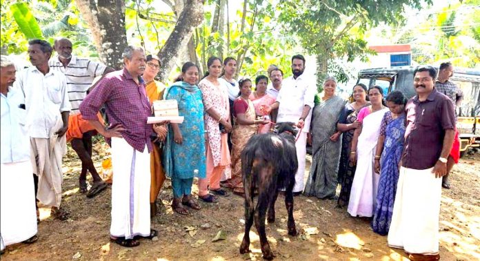 ഏറത്ത് ഗ്രാമപഞ്ചായത്തില് പോത്തിന്കുട്ടികളെ വിതരണം ചെയ്തു ഏറത്ത് ഗ്രാമപഞ്ചായത്തില് പോത്തിന്കുട്ടികളെ വിതരണം ചെയ്തു