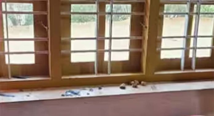 വയനാട് പനവല്ലിയിൽ വീട്ടുമുറ്റത്ത് എത്തിയ കാട്ടാന ജനൽ ചില്ലുകൾ തകർത്തു വയനാട് പനവല്ലിയിൽ വീട്ടുമുറ്റത്ത് എത്തിയ കാട്ടാന ജനൽ ചില്ലുകൾ തകർത്തു