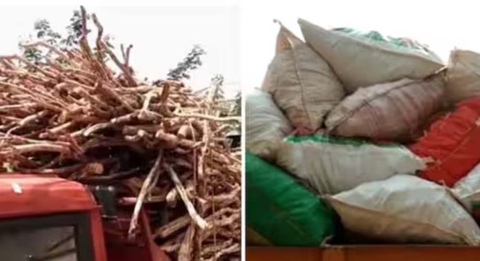 ആക്രിക്കടയുടെ മറവിൽ വൻ ചന്ദനക്കടത്ത് ; പിടിച്ചത് 2000 കിലോ ചന്ദനം ആക്രിക്കടയുടെ മറവിൽ വൻ ചന്ദനക്കടത്ത് ; പിടിച്ചത് 2000 കിലോ ചന്ദനം